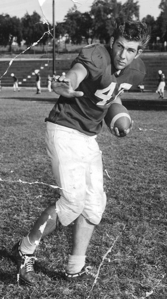 Bulldogs rolled with Mayer.